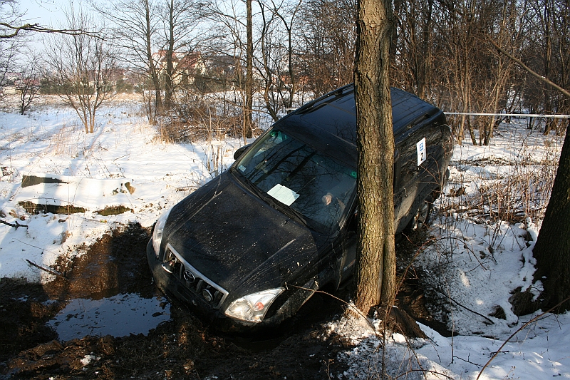 WOSP_Pasternik_2009 175